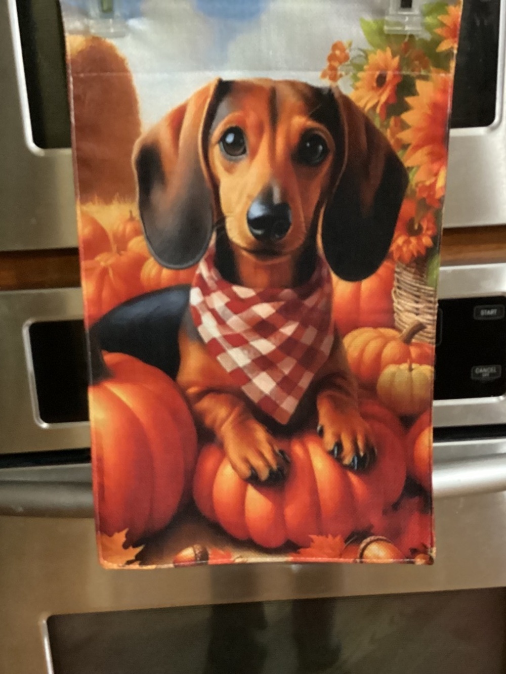 NEW Fall Dachshund Double sided Garden flag, Burlap